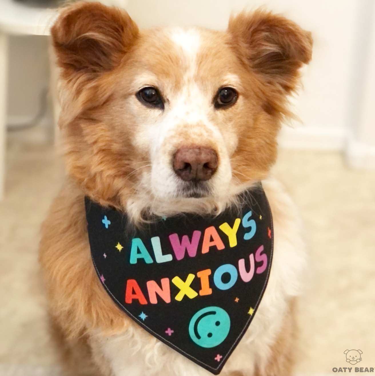 Always Anxious Dog Bandana