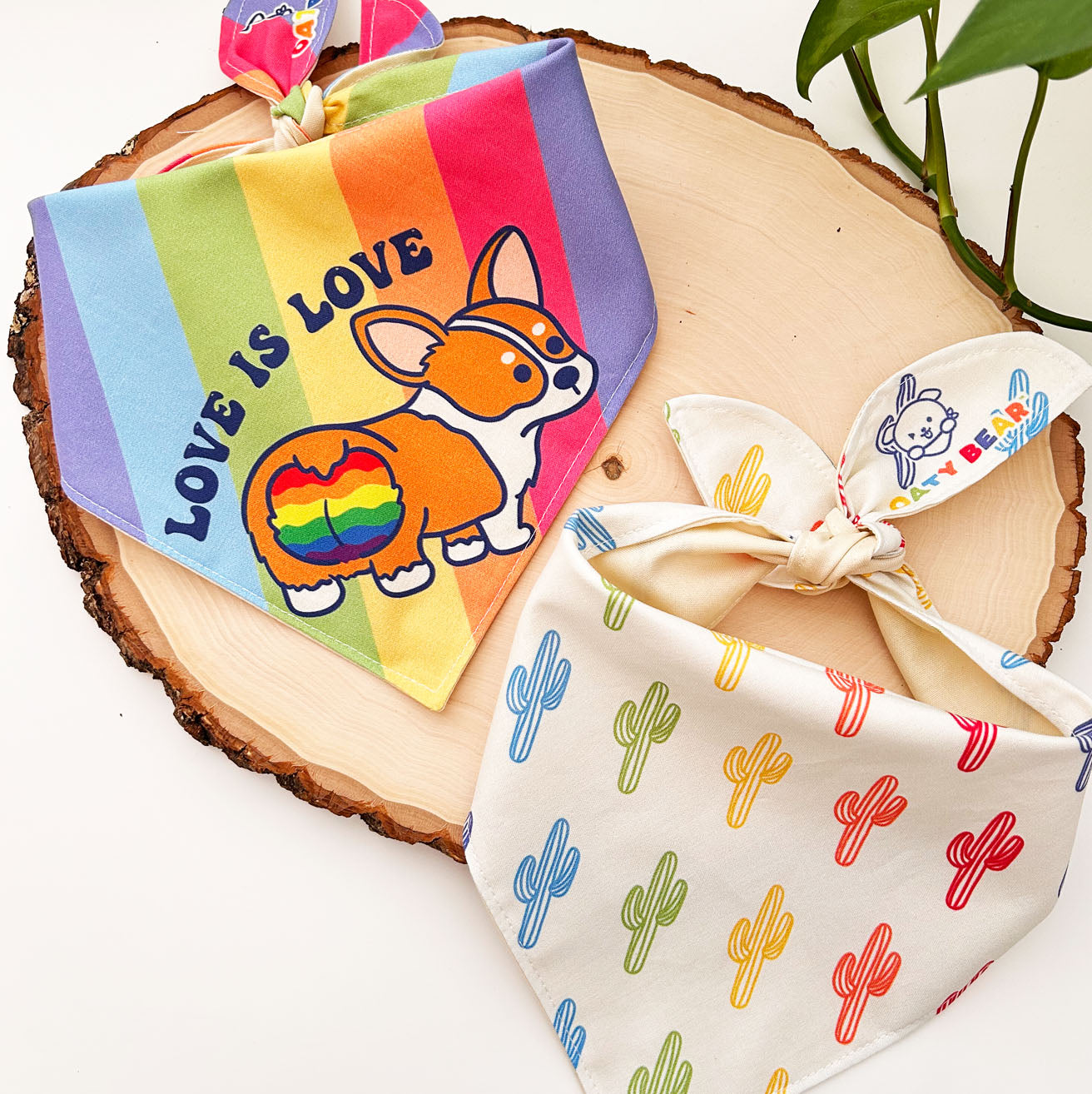 Pride - Saguaro Dog Bandana