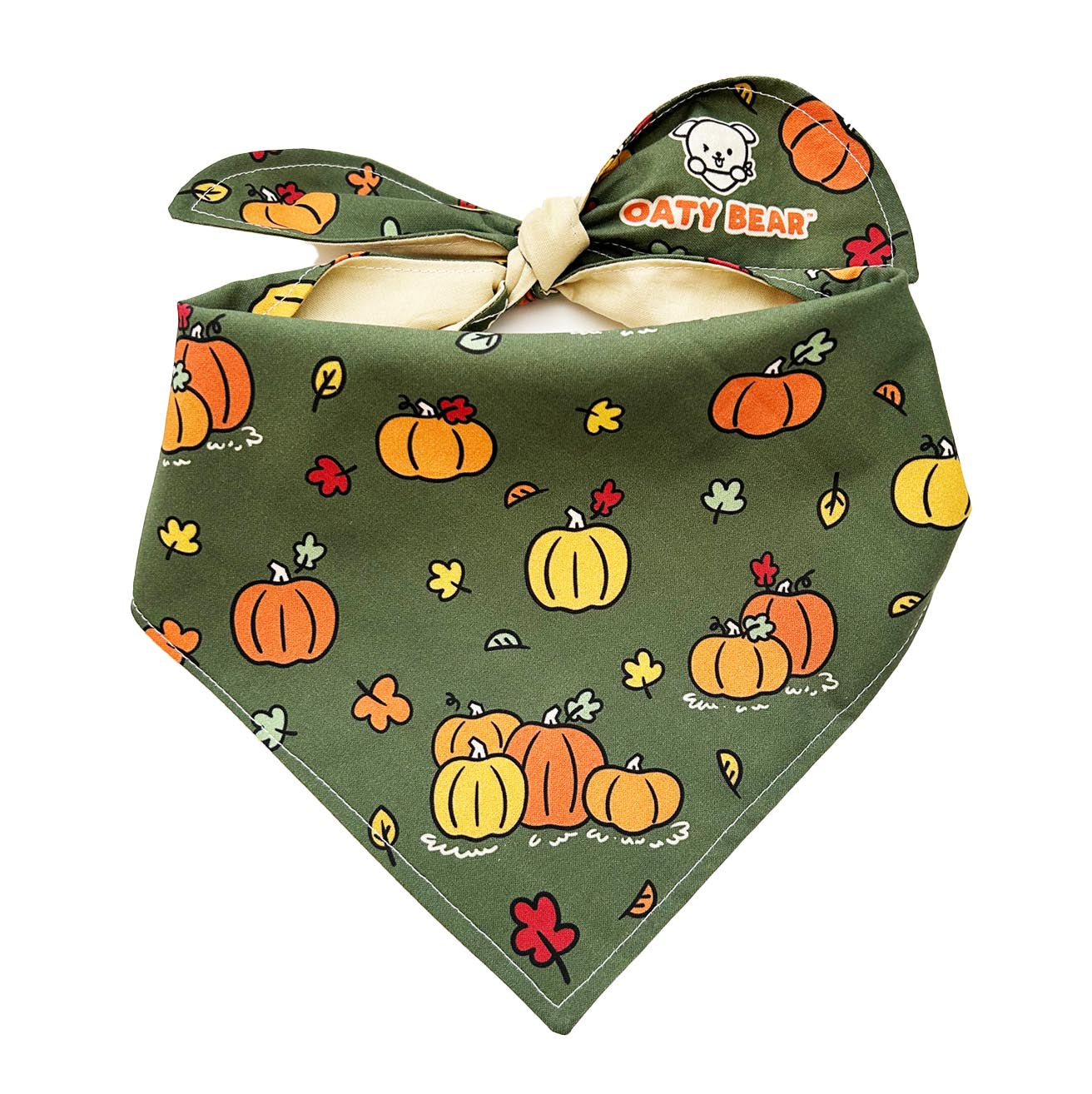 Fall Pumpkin Patch Dog Bandana
