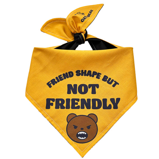 Friendshape Dog Bandana