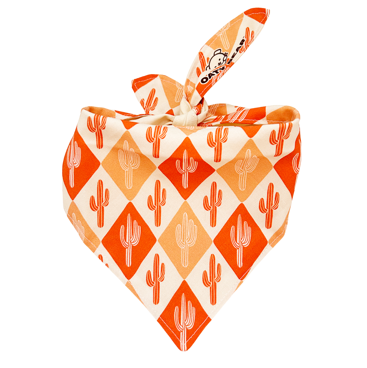 Fall - Pumpkin Spice Saguaro Bandana