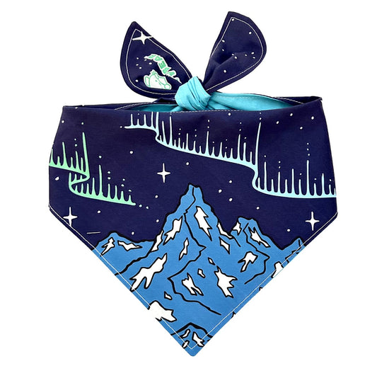 Winter Aurora Mountain Bandana