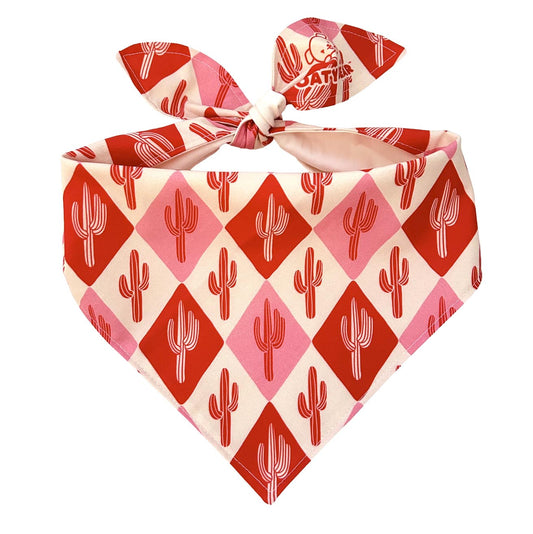 Winter Cactus Cane Bandana