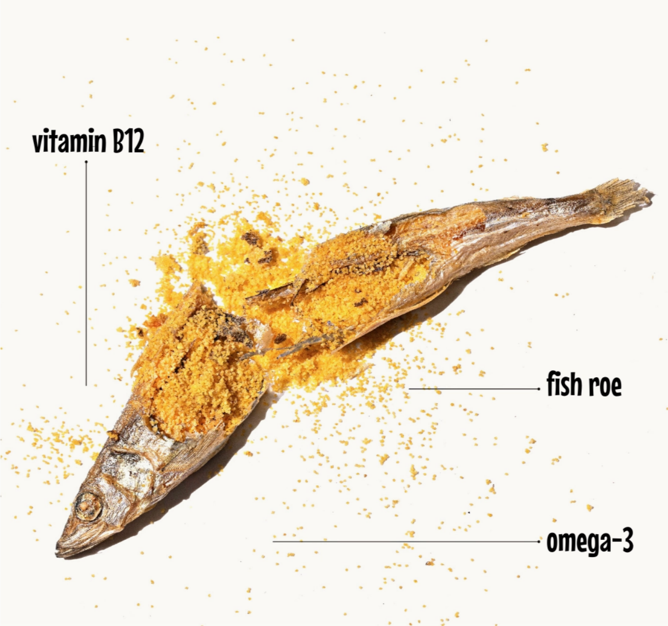 AryaSit! - Freeze-Dried Capeline Fish Cat & Dog Treats