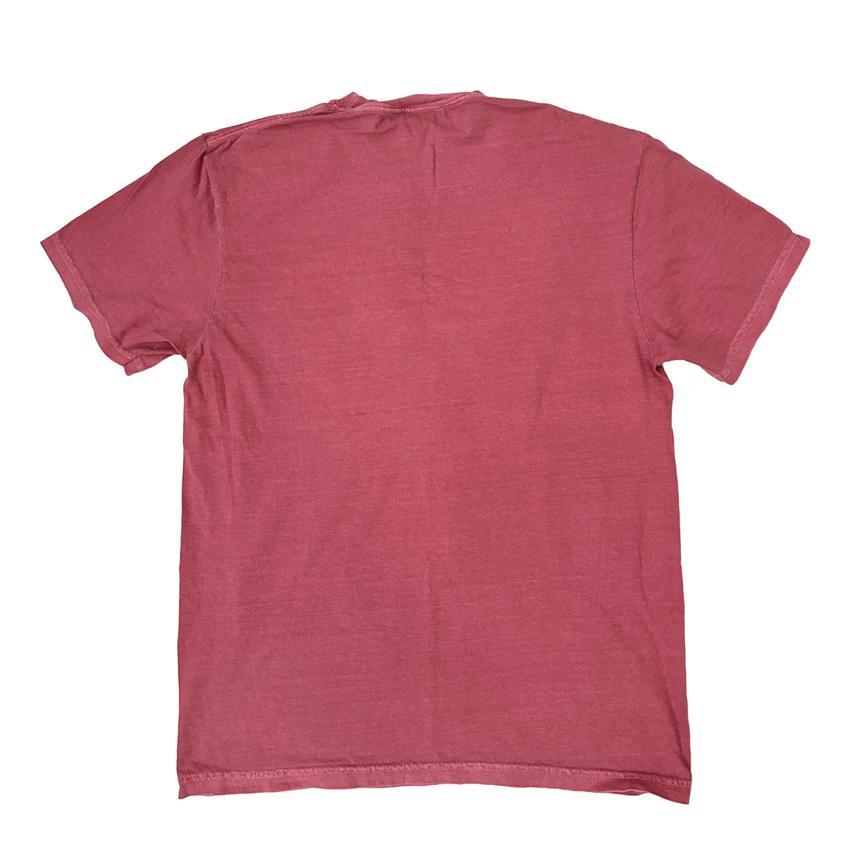 Doxie: Dapple Of My Eye Comfort Colors Unisex T-shirt | Brick