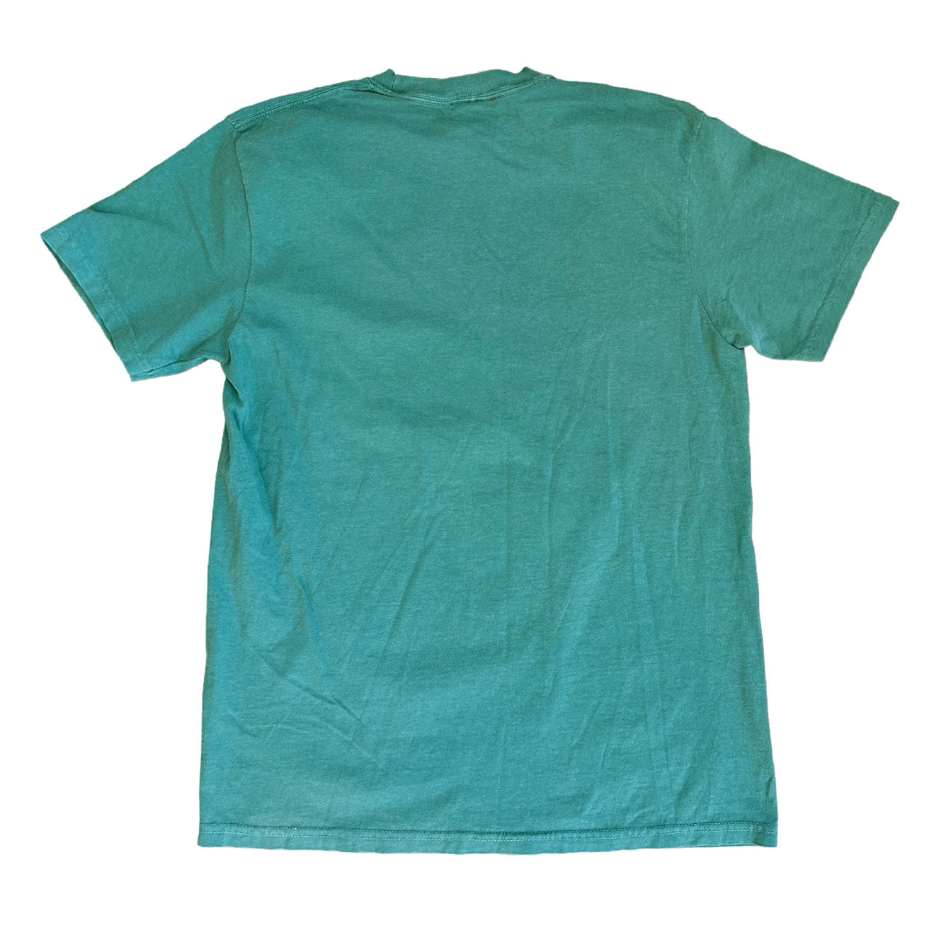 Desert Heeler Comfort Colors Unisex T-shirt | Light Green