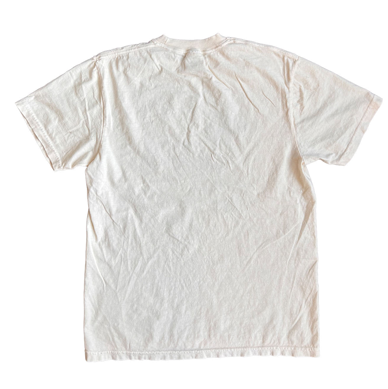 Doxie Desertscape Comfort Colors Unisex T-shirt | Ivory
