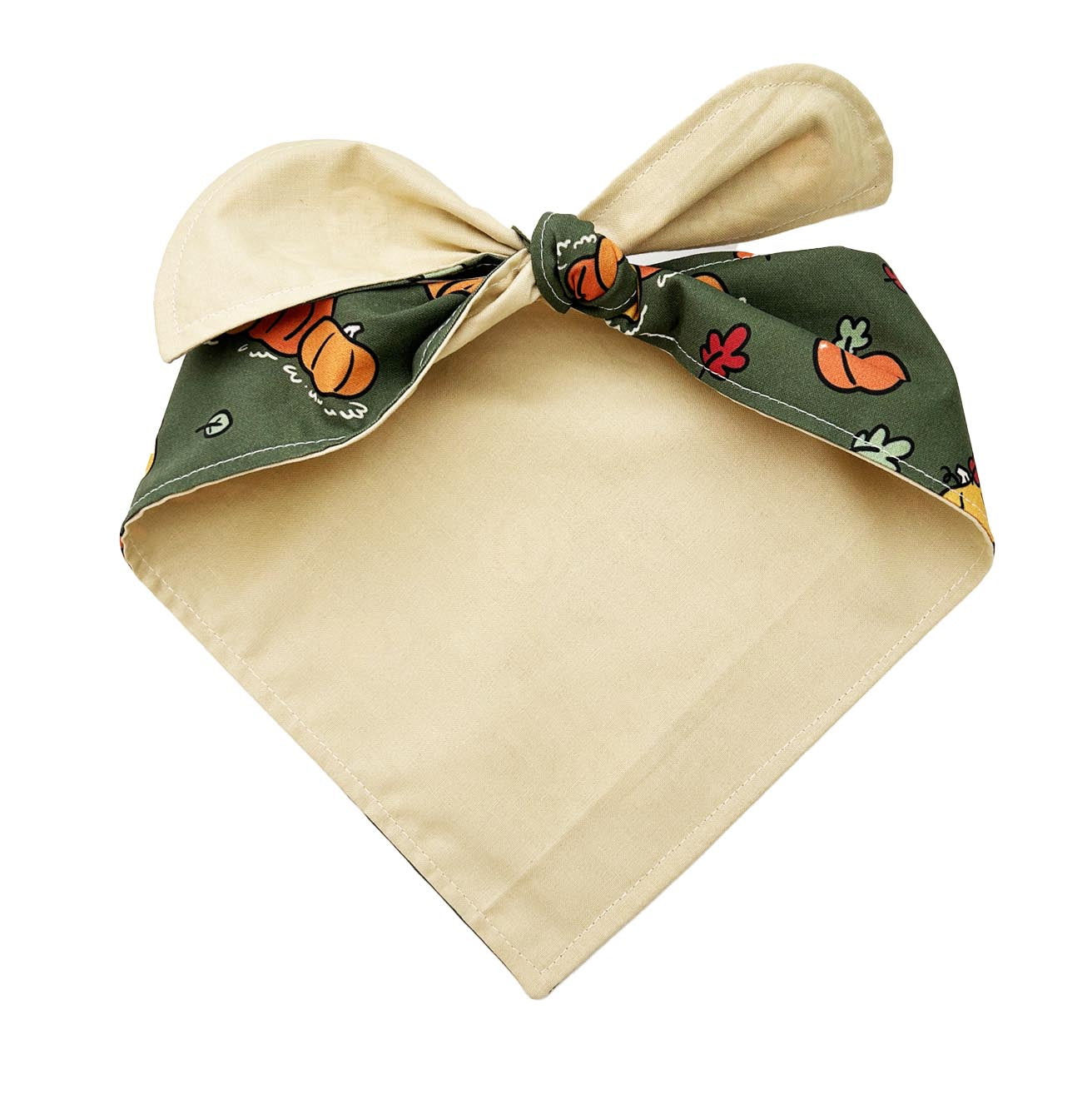 Fall Pumpkin Patch Dog Bandana