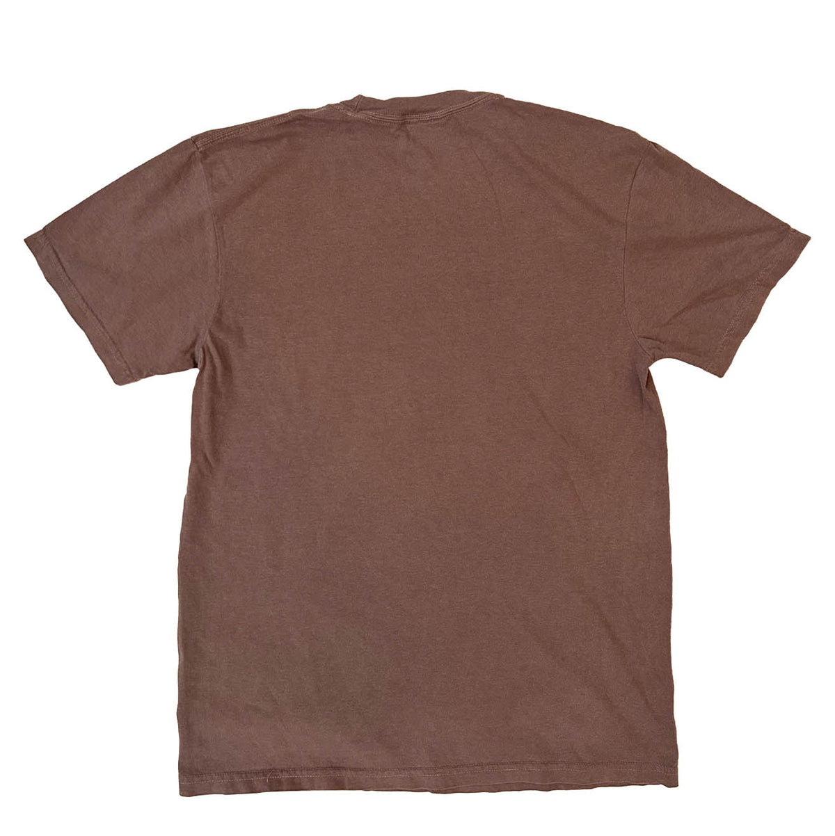 Pages and Pup Comfort Colors Unisex T-shirt | Espresso