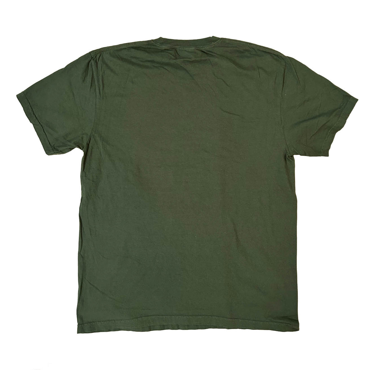 Pages and Pup Comfort Colors Unisex T-shirt | Sage
