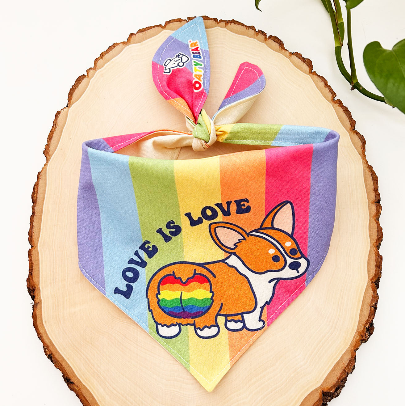Pride - Corgi Love Dog Bandana