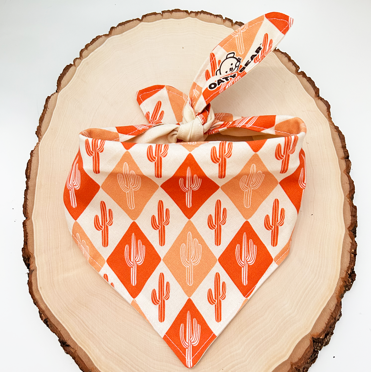 Fall - Pumpkin Spice Saguaro Bandana