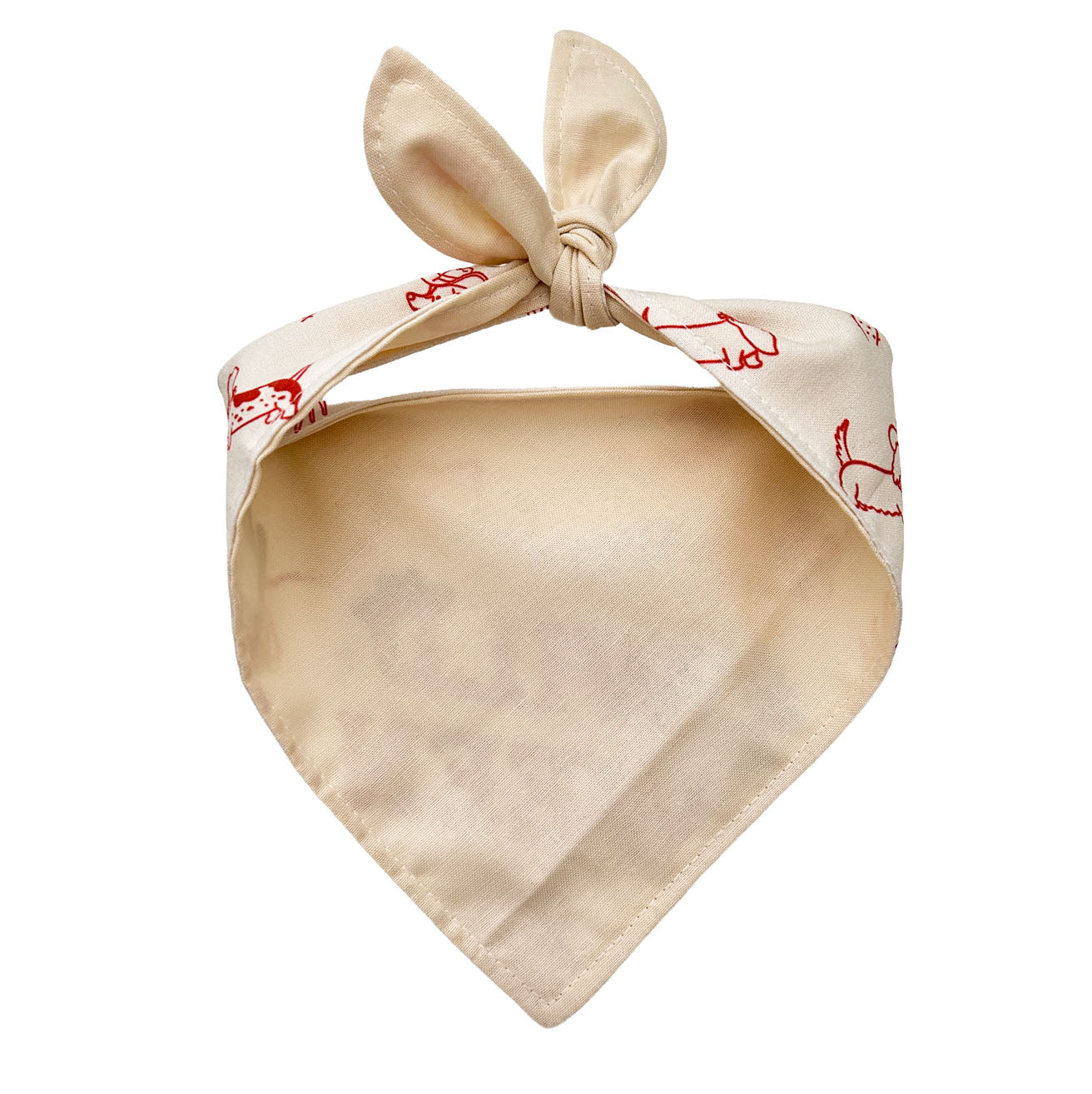 Wild Ween Bandana