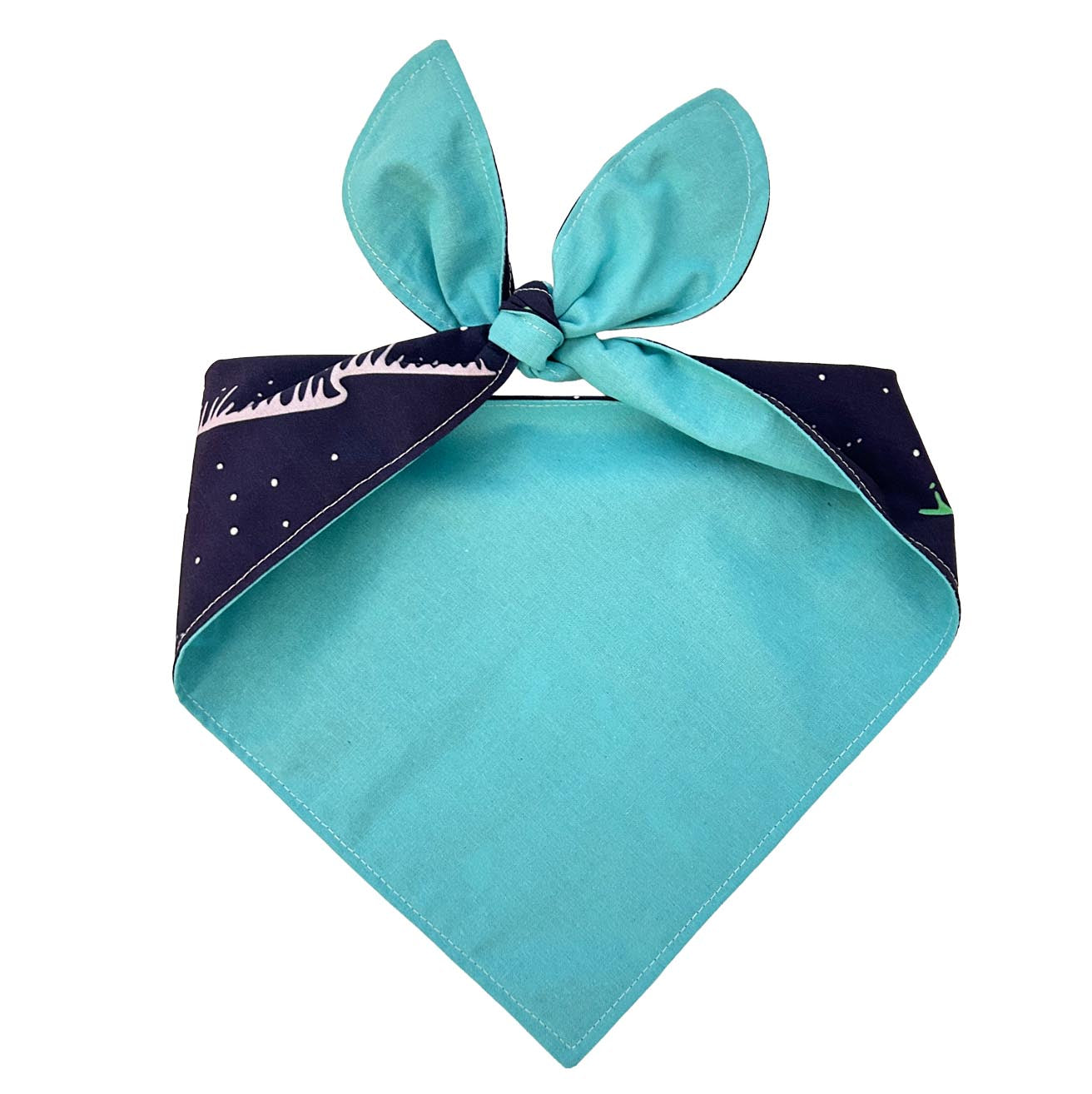 Winter Aurora Mountain Bandana