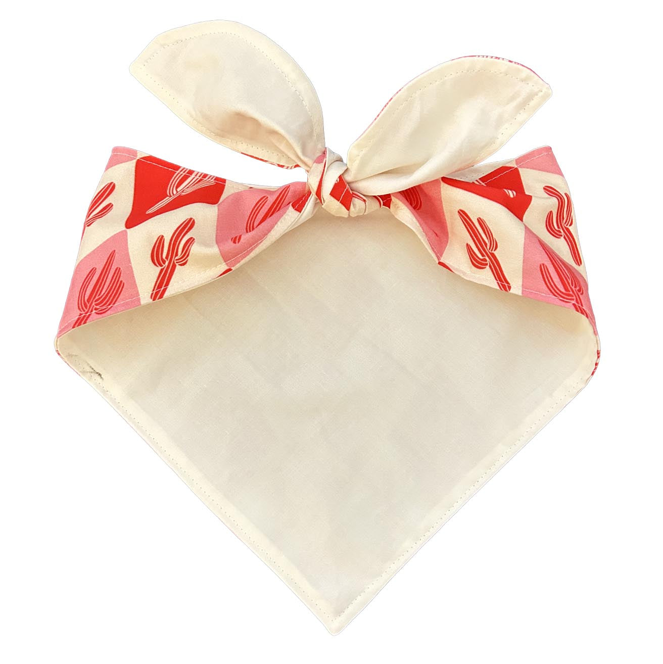 Winter Cactus Cane Bandana