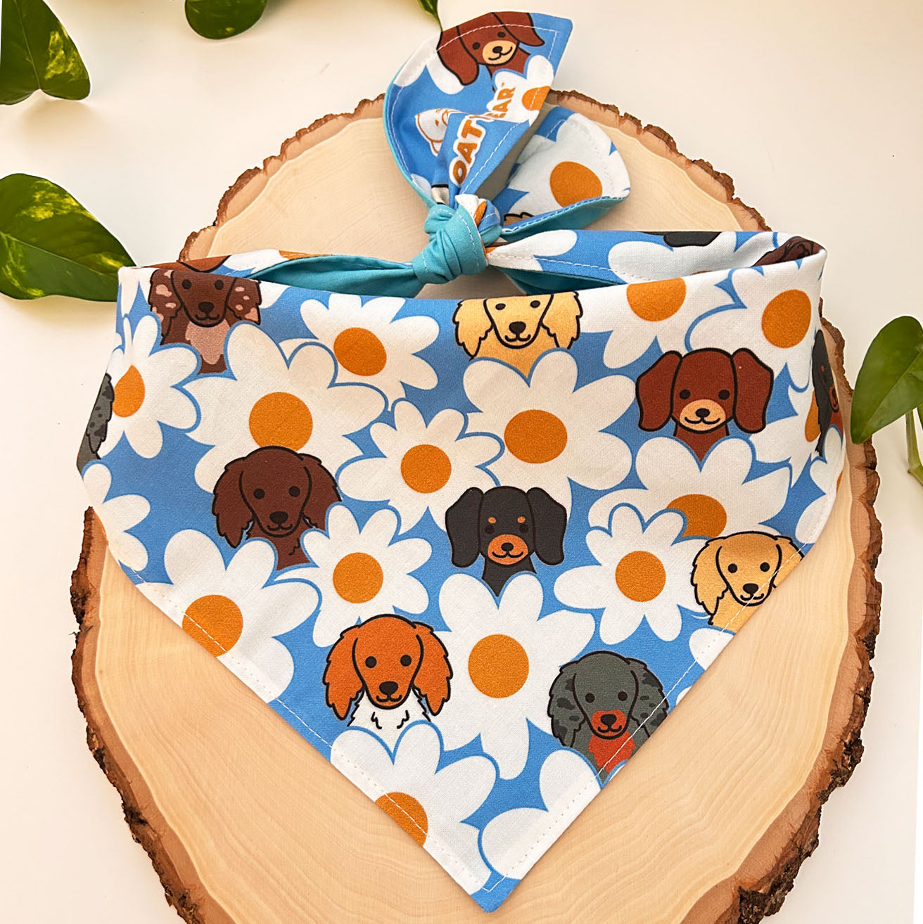 Doxies and Daisies Bandana