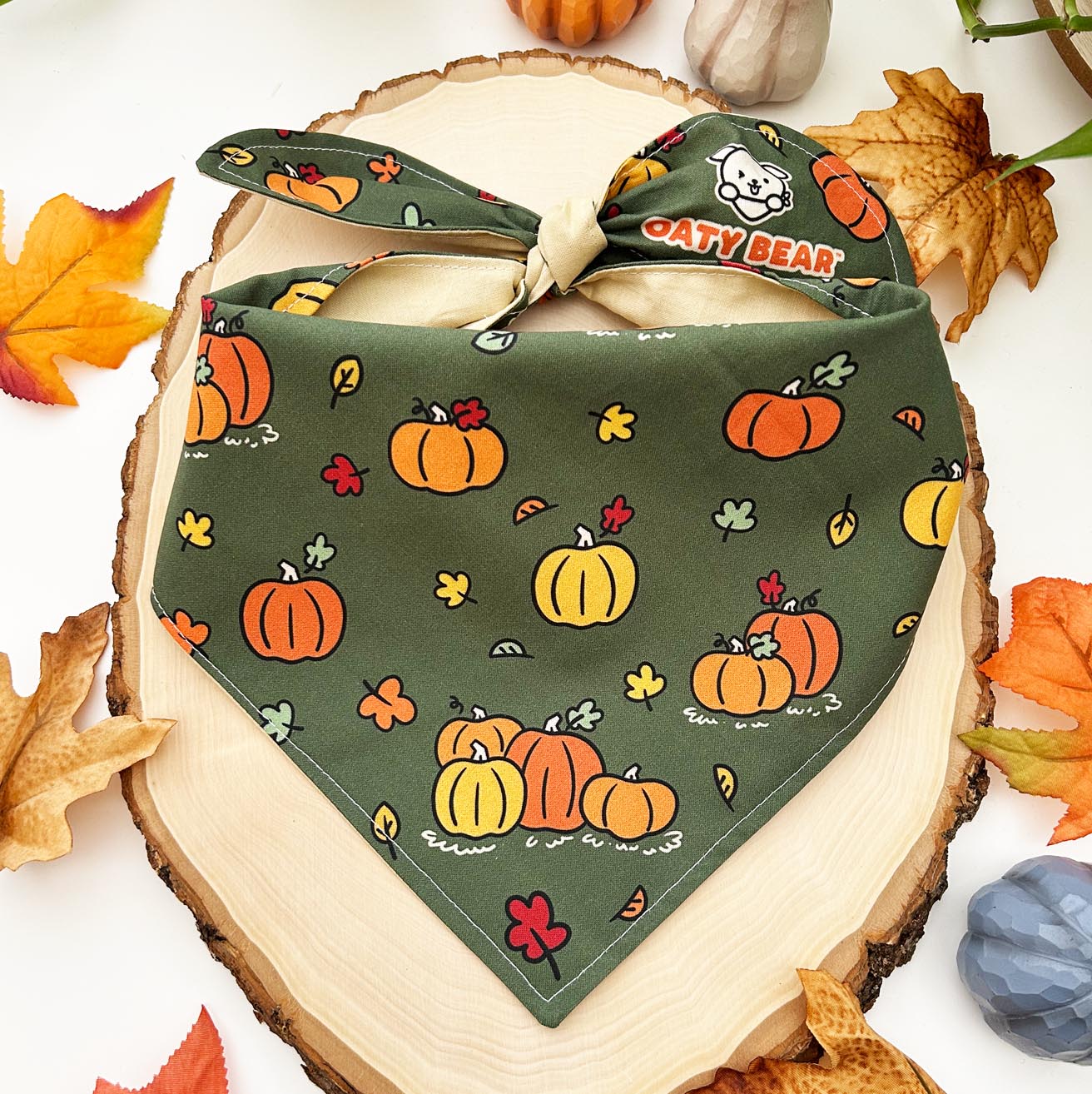 Fall Pumpkin Patch Dog Bandana