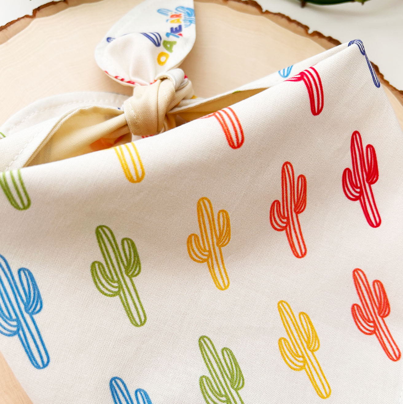 Pride - Saguaro Dog Bandana