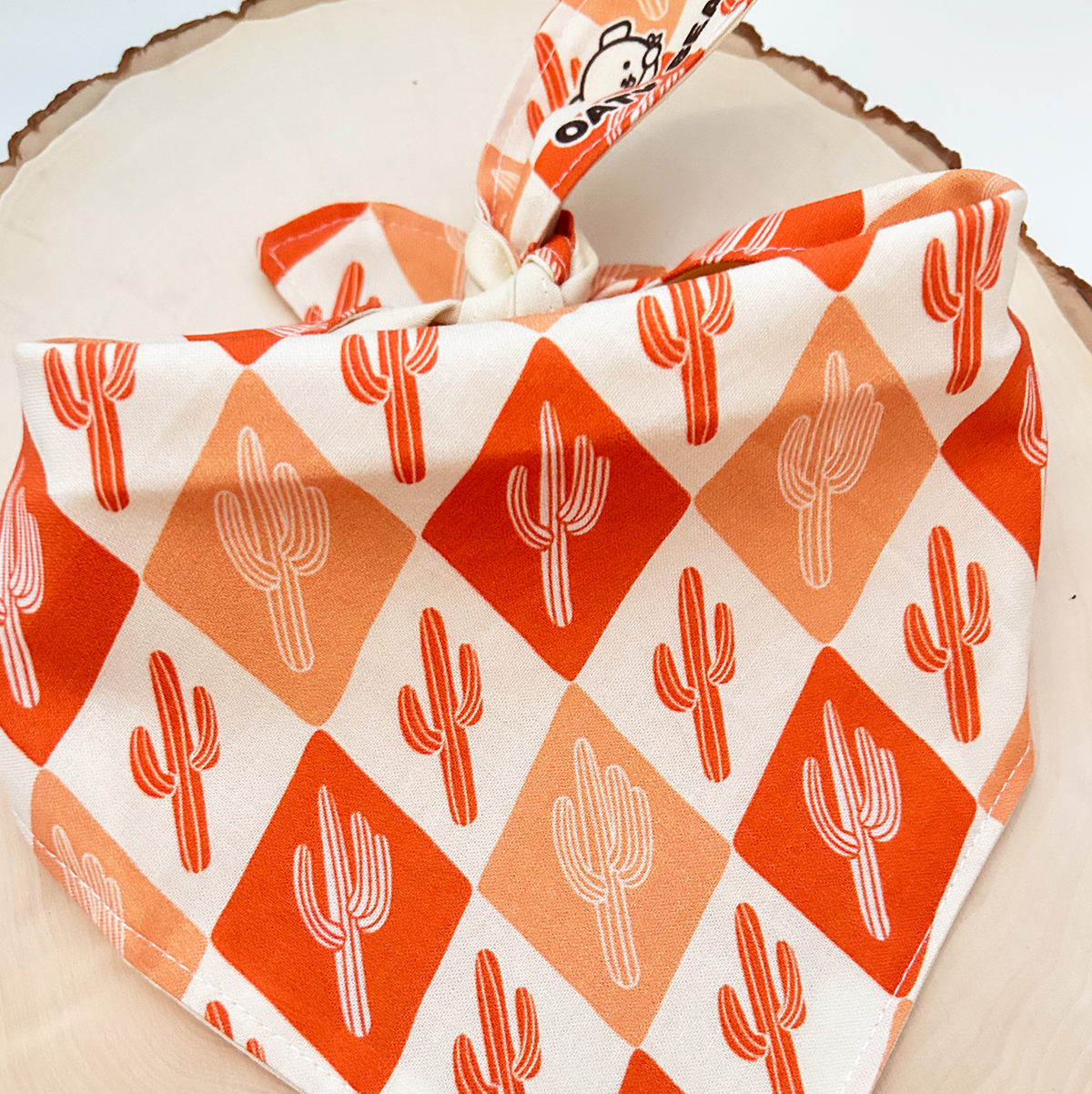 Fall - Pumpkin Spice Saguaro Bandana