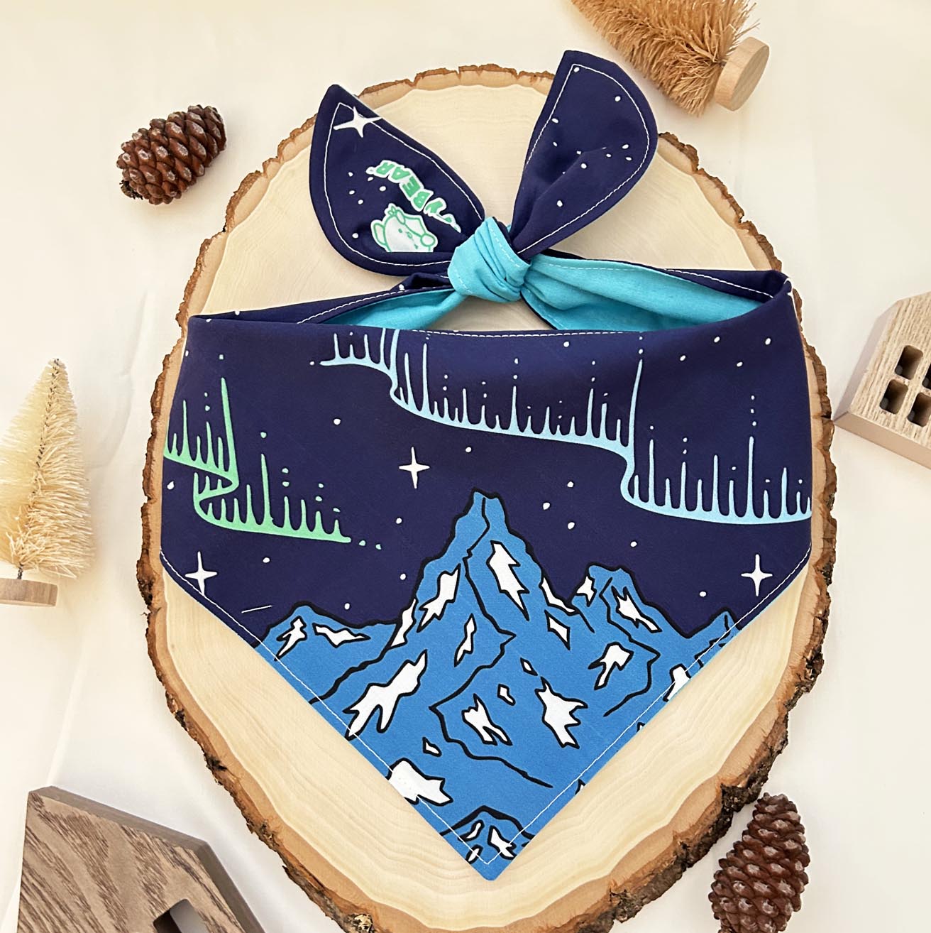 Winter Aurora Mountain Bandana