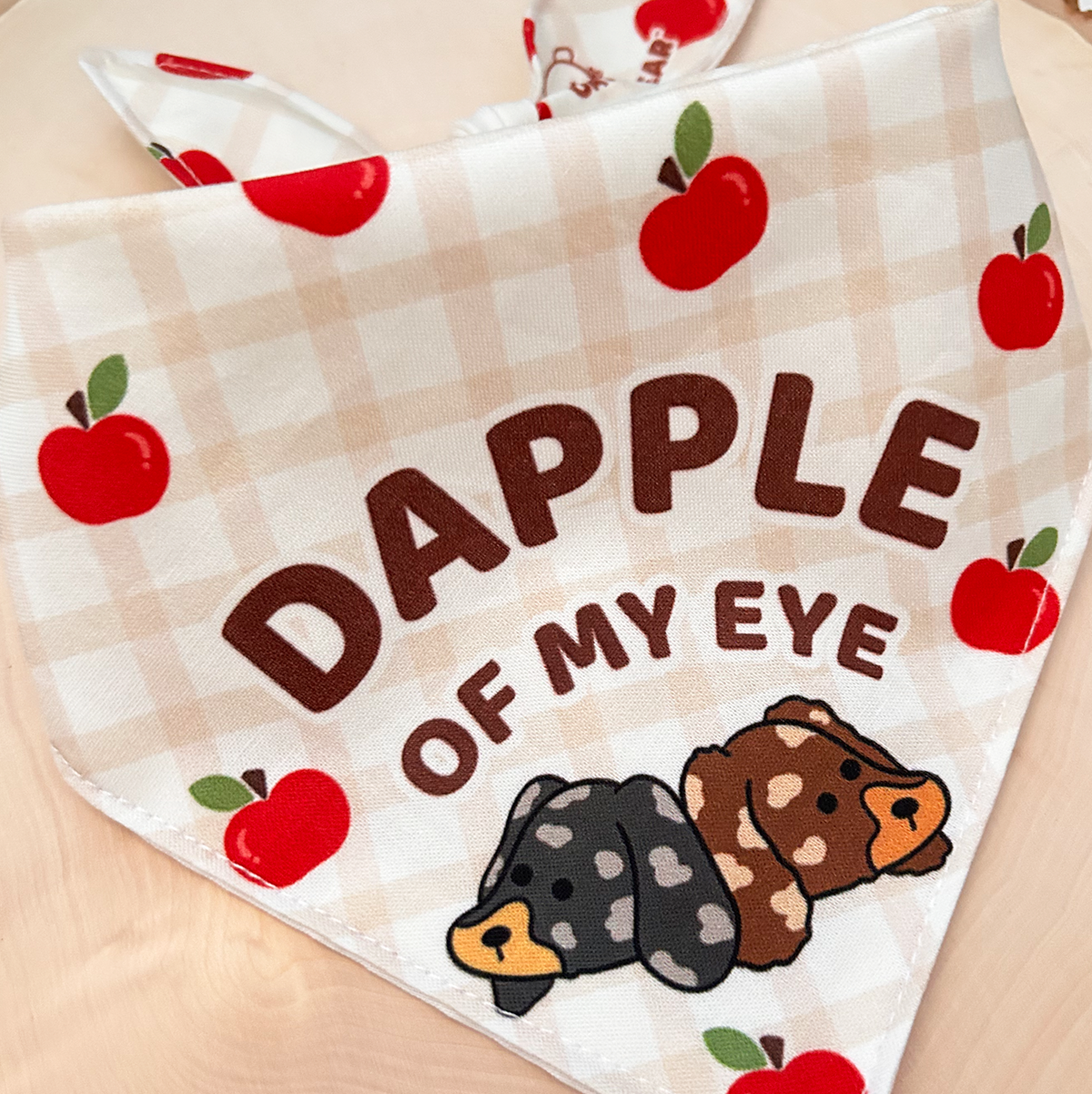 Doxie: Dapple of My Eye Bandana
