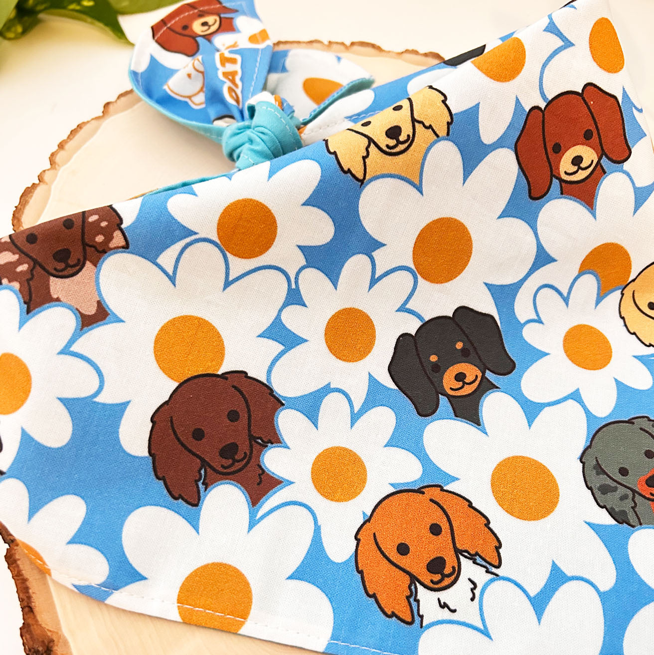 Doxies and Daisies Bandana