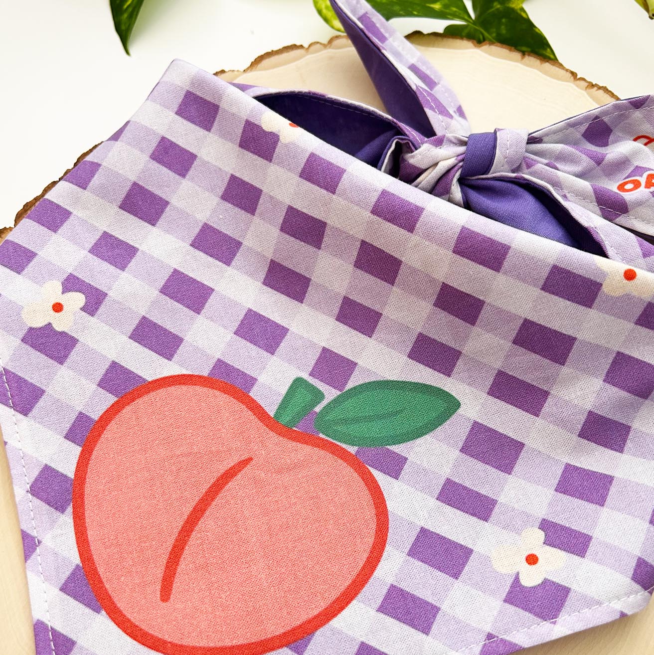 Peach Dog Bandana