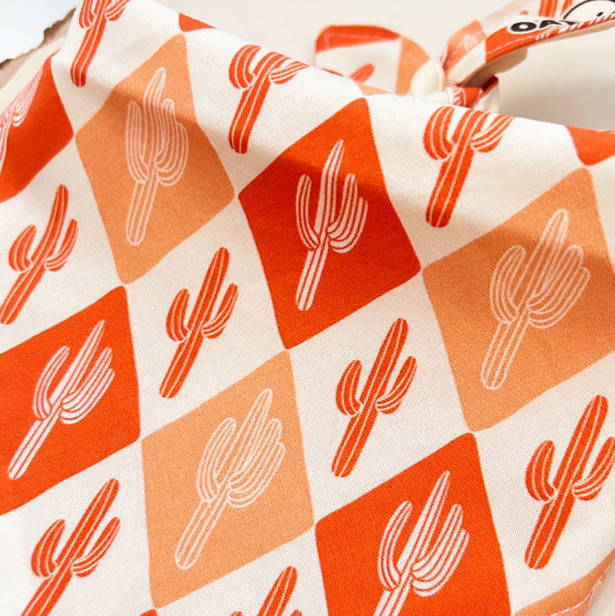 Fall - Pumpkin Spice Saguaro Bandana