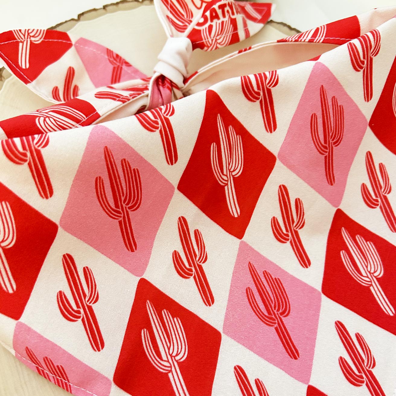 Winter Cactus Cane Bandana