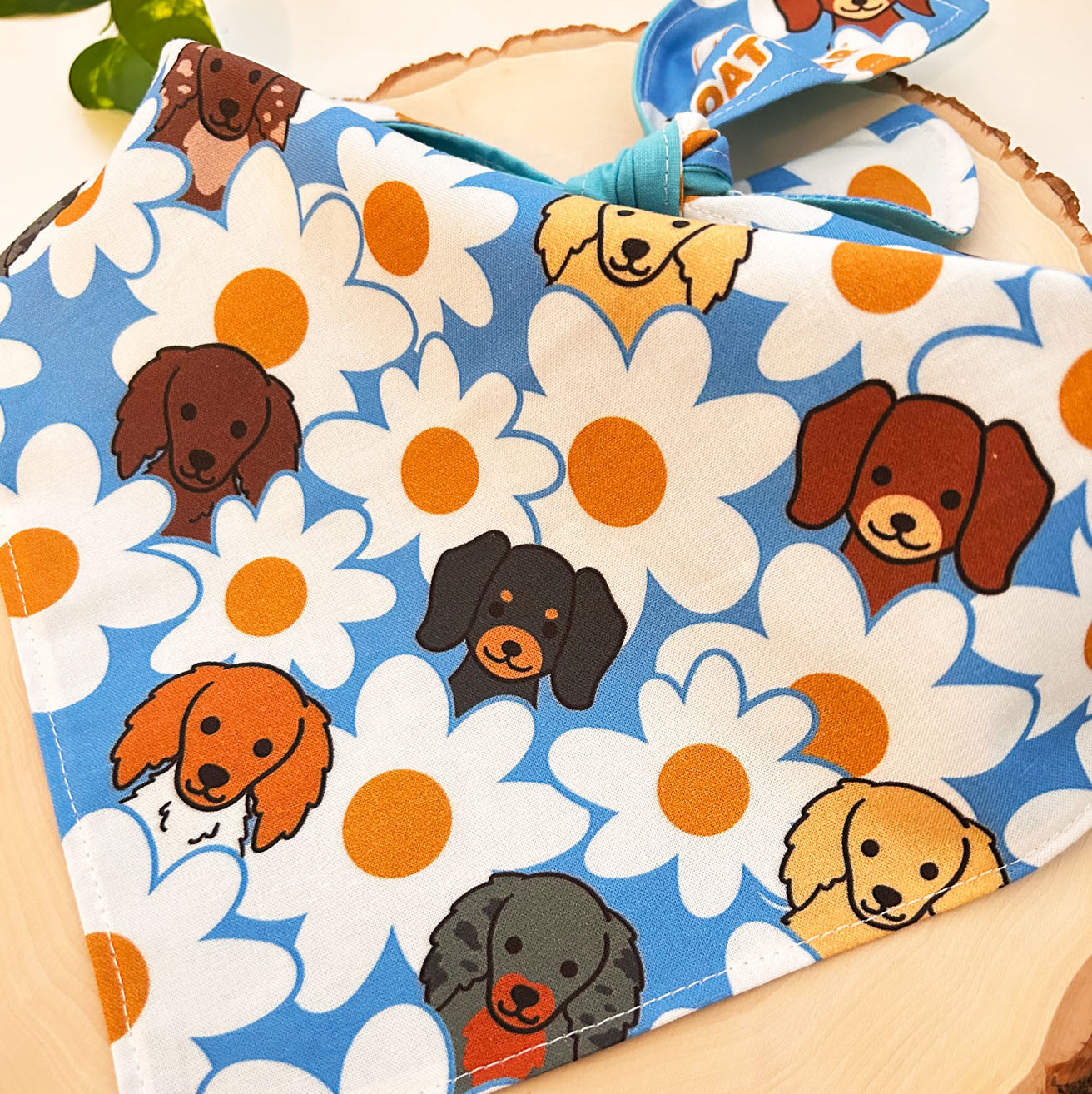 Doxies and Daisies Bandana