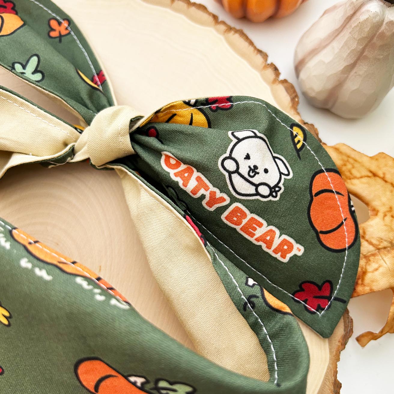 Fall Pumpkin Patch Dog Bandana