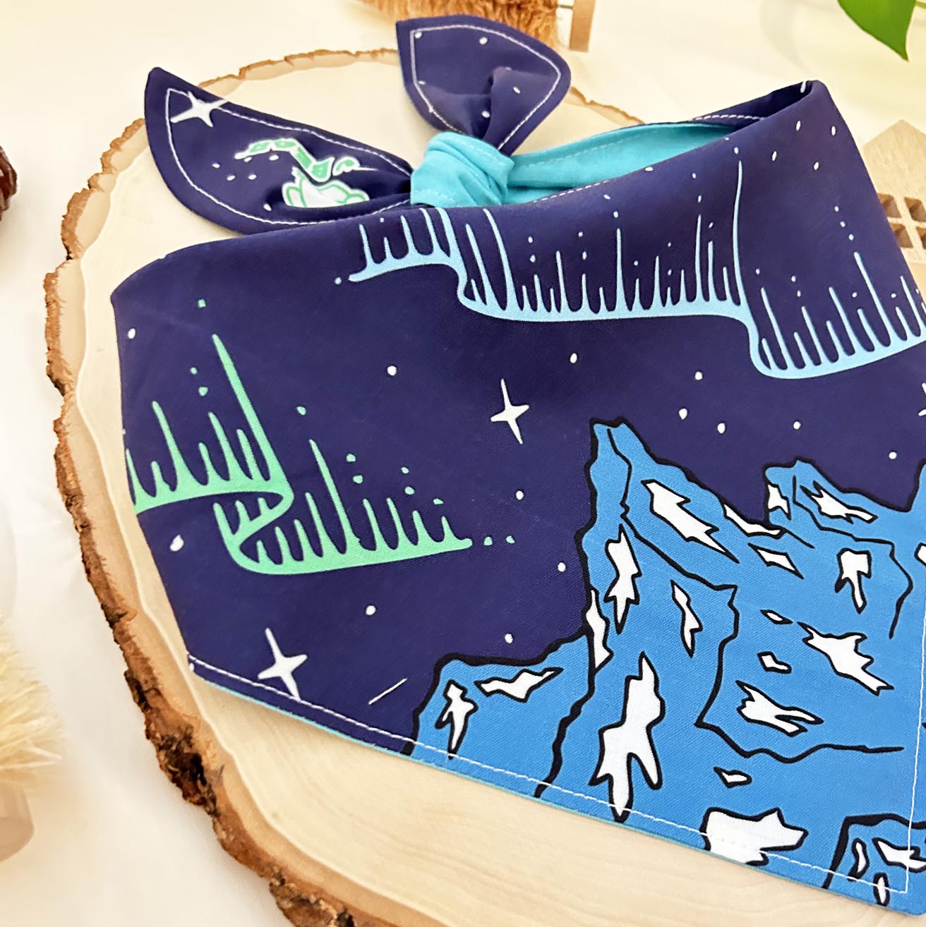 Winter Aurora Mountain Bandana