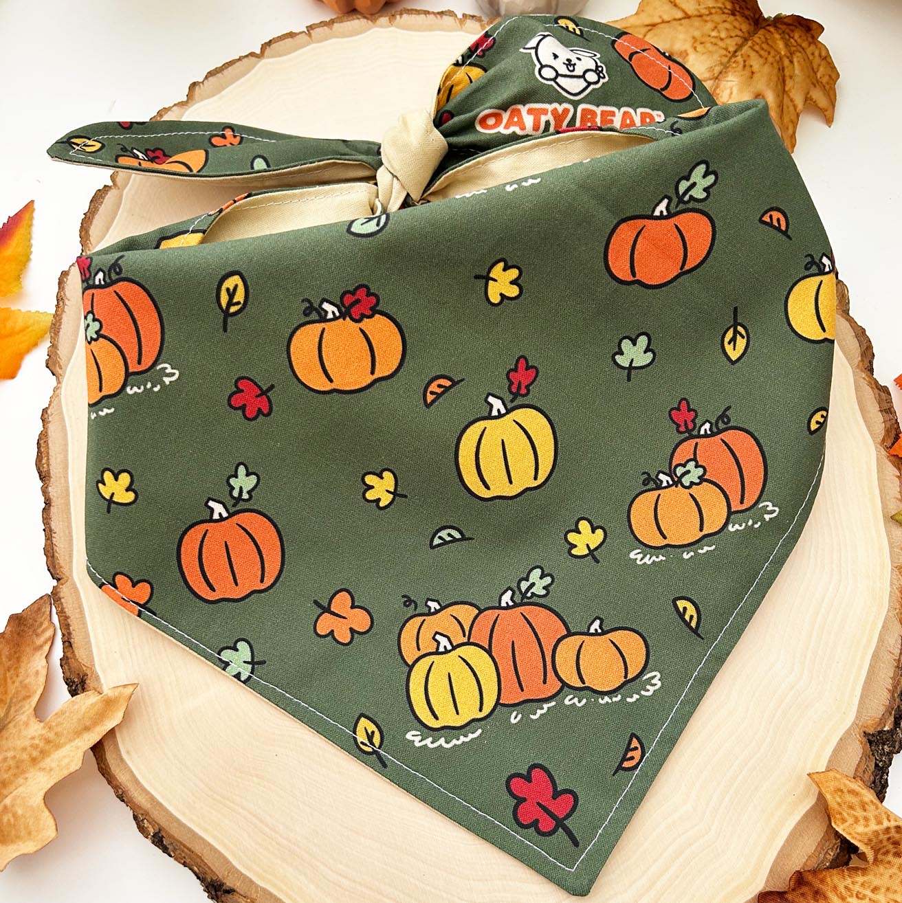 Fall Pumpkin Patch Dog Bandana