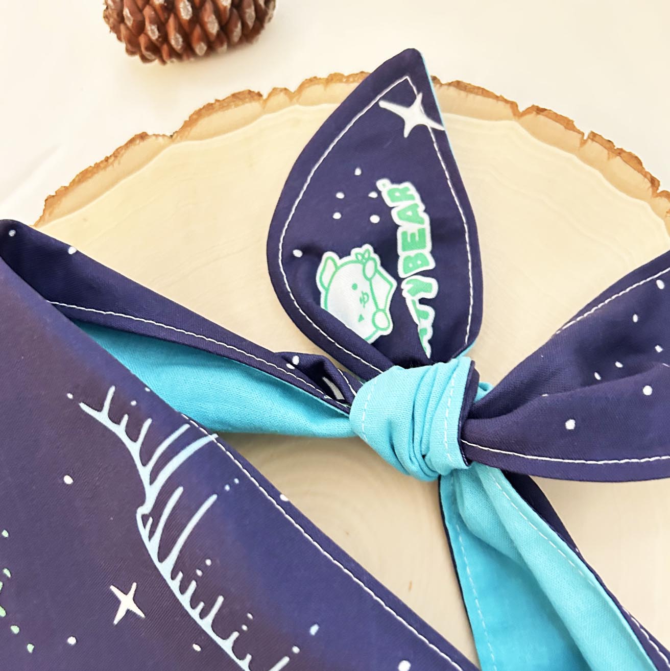 Winter Aurora Mountain Bandana