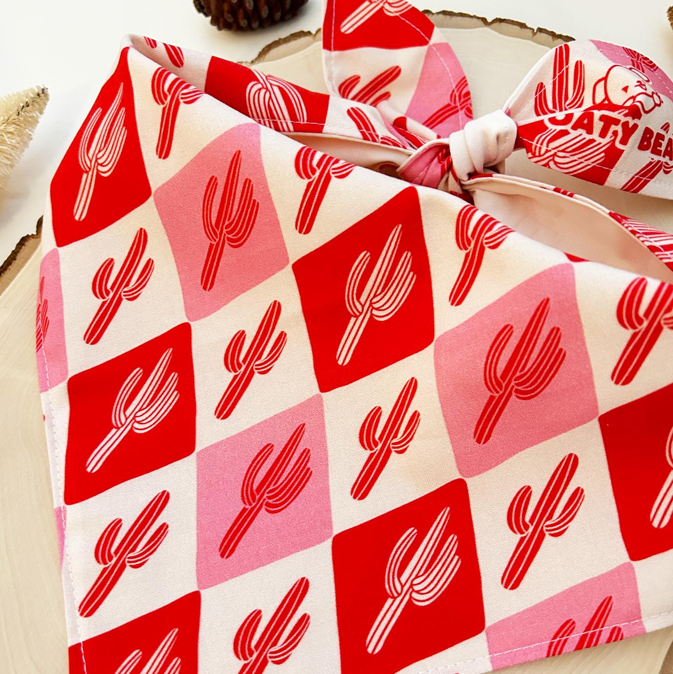 Winter Cactus Cane Bandana