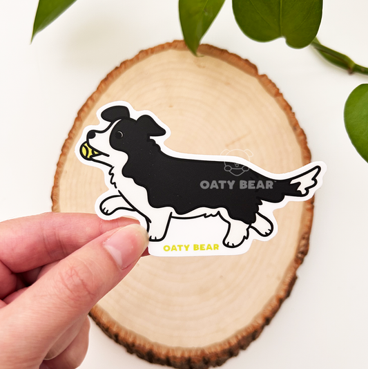 Border Collie Blk/Wht Vinyl Sticker